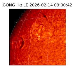 gong - 2026-02-14T09:00:42