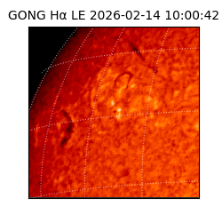 gong - 2026-02-14T10:00:42