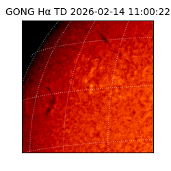 gong - 2026-02-14T11:00:22