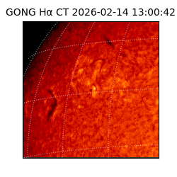 gong - 2026-02-14T13:00:42
