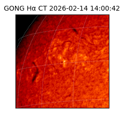 gong - 2026-02-14T14:00:42