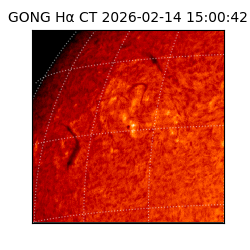 gong - 2026-02-14T15:00:42