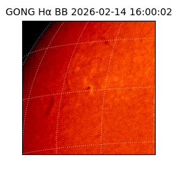 gong - 2026-02-14T16:00:02
