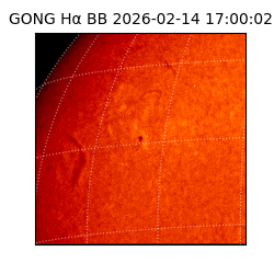 gong - 2026-02-14T17:00:02