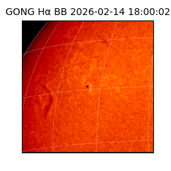 gong - 2026-02-14T18:00:02