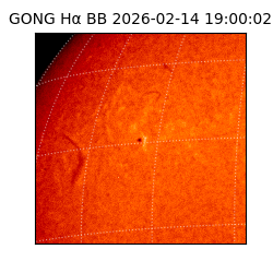 gong - 2026-02-14T19:00:02
