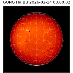 gong - 2026-02-14T00:00:02