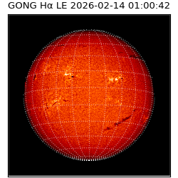 gong - 2026-02-14T01:00:42