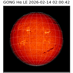 gong - 2026-02-14T02:00:42
