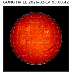 gong - 2026-02-14T03:00:42