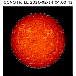 gong - 2026-02-14T04:00:42