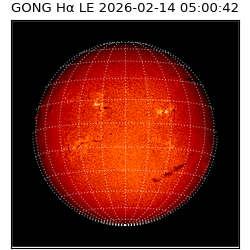 gong - 2026-02-14T05:00:42