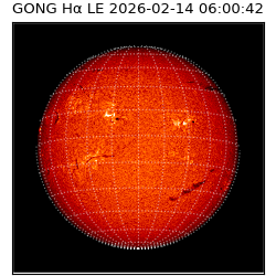 gong - 2026-02-14T06:00:42