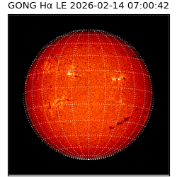 gong - 2026-02-14T07:00:42