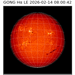 gong - 2026-02-14T08:00:42