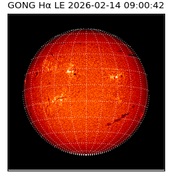 gong - 2026-02-14T09:00:42