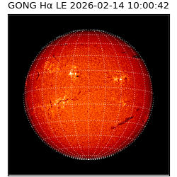 gong - 2026-02-14T10:00:42