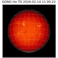 gong - 2026-02-14T11:00:22