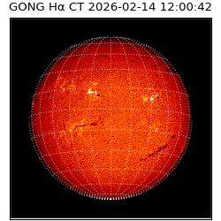 gong - 2026-02-14T12:00:42