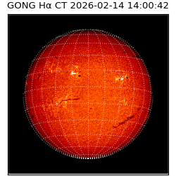 gong - 2026-02-14T14:00:42