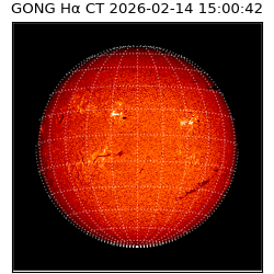 gong - 2026-02-14T15:00:42