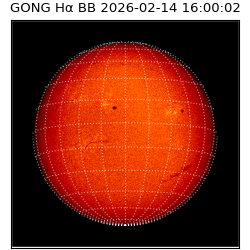 gong - 2026-02-14T16:00:02