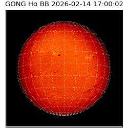 gong - 2026-02-14T17:00:02