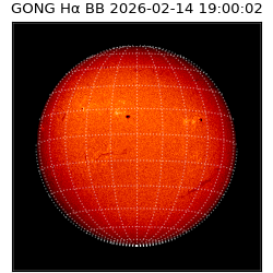 gong - 2026-02-14T19:00:02