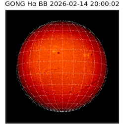 gong - 2026-02-14T20:00:02