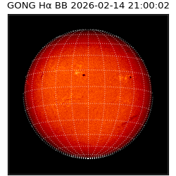 gong - 2026-02-14T21:00:02