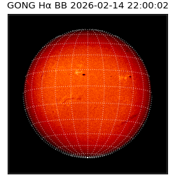 gong - 2026-02-14T22:00:02