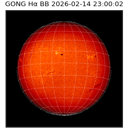 gong - 2026-02-14T23:00:02