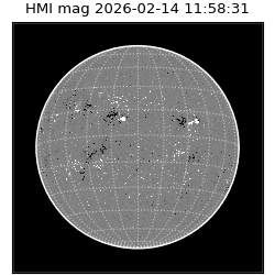 shmi - 2026-02-14T11:58:31.800000