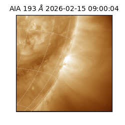 saia - 2026-02-15T09:00:04.843000