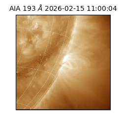 saia - 2026-02-15T11:00:04.843000