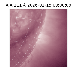 saia - 2026-02-15T09:00:09.626000