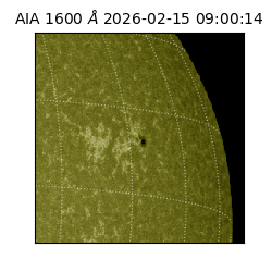 saia - 2026-02-15T09:00:14.125000