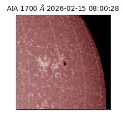 saia - 2026-02-15T08:00:28.710000