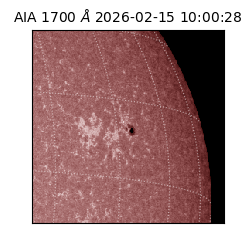 saia - 2026-02-15T10:00:28.709000