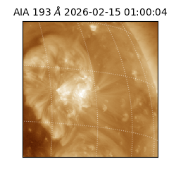 saia - 2026-02-15T01:00:04.843000