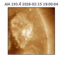 saia - 2026-02-15T19:00:04.843000