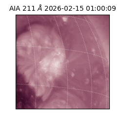 saia - 2026-02-15T01:00:09.632000