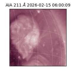 saia - 2026-02-15T06:00:09.618000