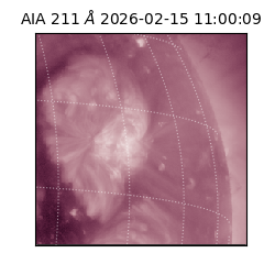 saia - 2026-02-15T11:00:09.632000