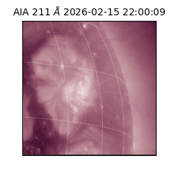 saia - 2026-02-15T22:00:09.618000