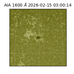 saia - 2026-02-15T03:00:14.125000