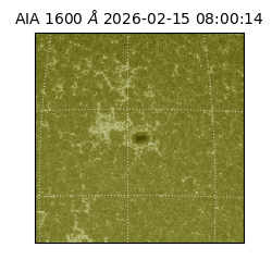 saia - 2026-02-15T08:00:14.125000