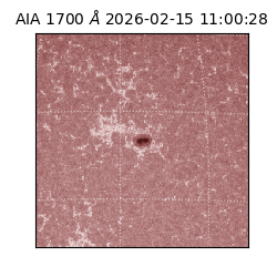 saia - 2026-02-15T11:00:28.709000