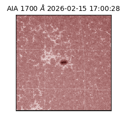 saia - 2026-02-15T17:00:28.726000