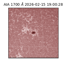 saia - 2026-02-15T19:00:28.717000